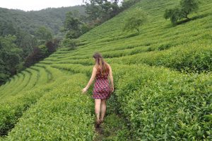 Things to Do in South Korea | Two Wandering Soles