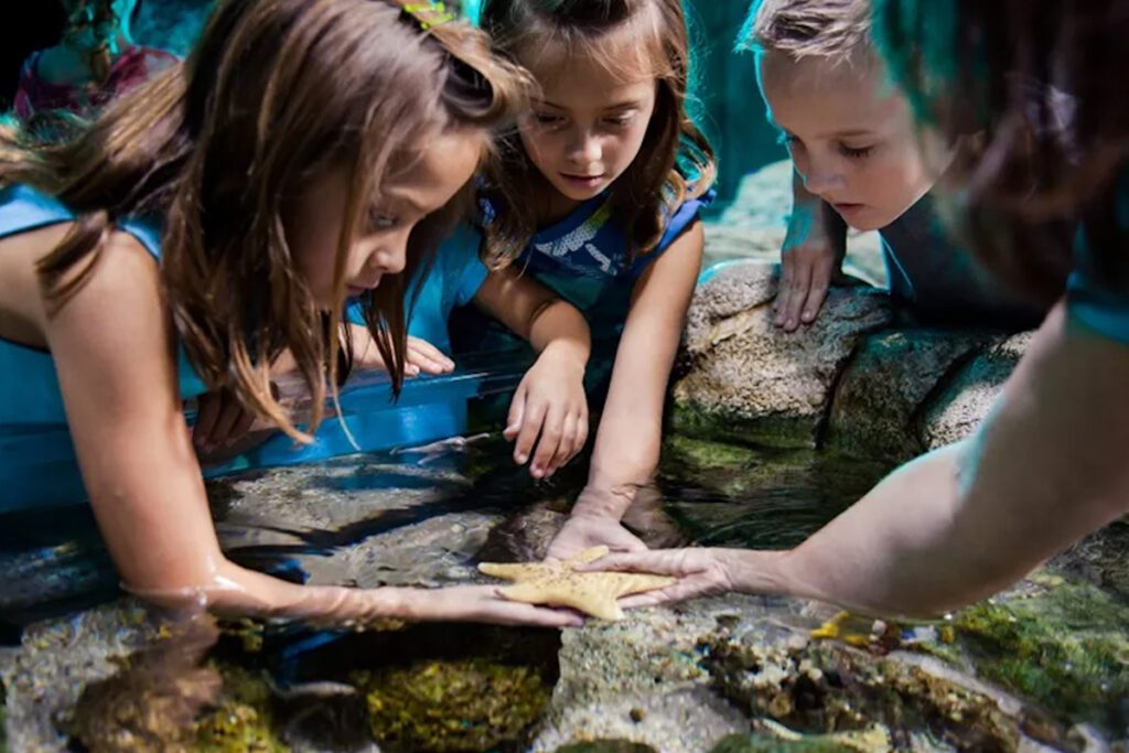 SEALIFE aquarium (website)