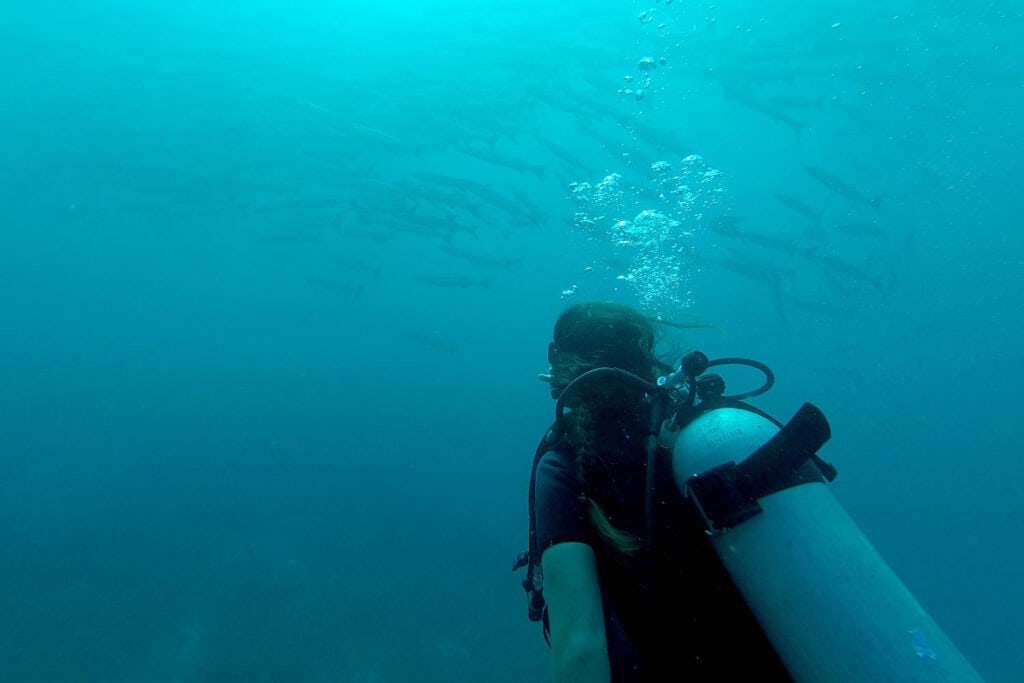 Scuba diving in Thailand
