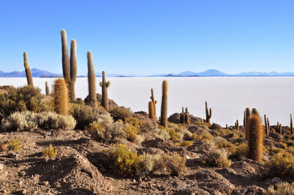 Salt Flats Bolivia