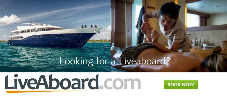 Scuba Diving Liveaboard
