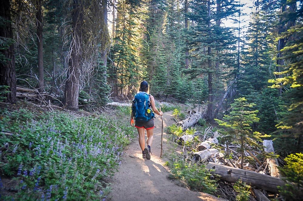 Best Hikes in Yosemite National Park Dewey Point Hiking Trail