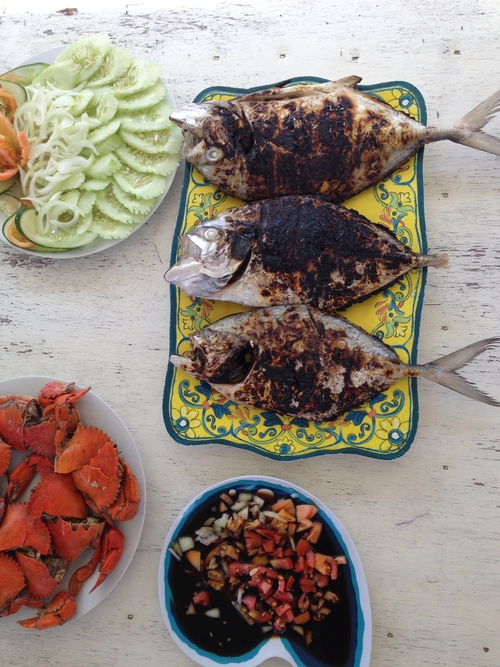 Palawan Philippines Island Hopping Caera Travel Tours Fish