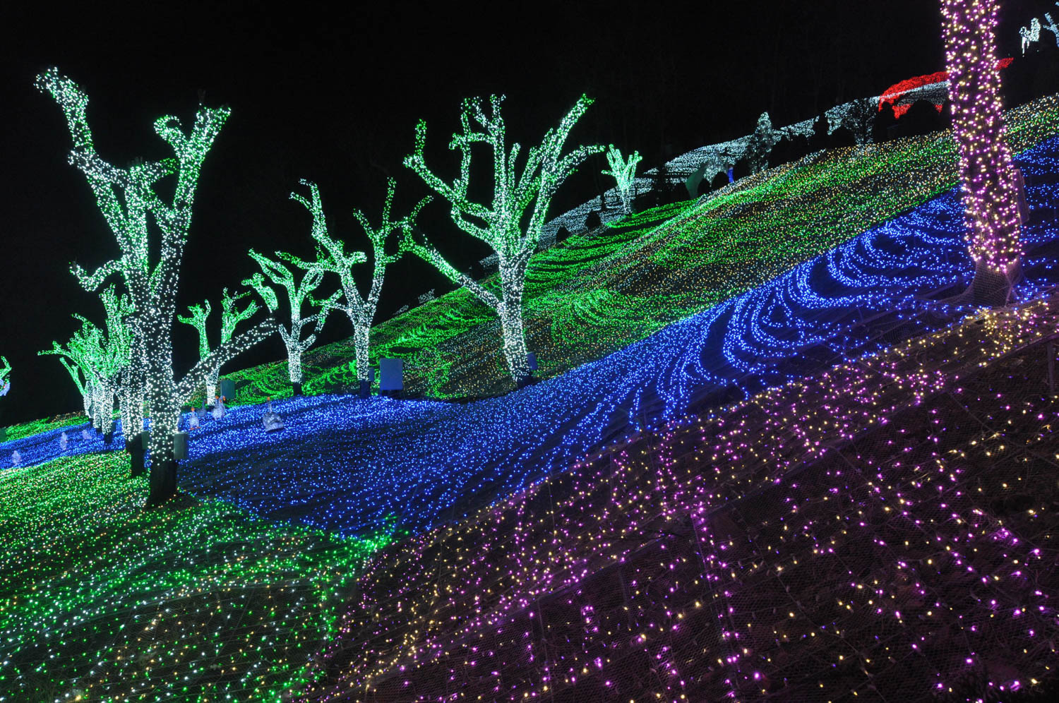 Provence Photo Land Korea