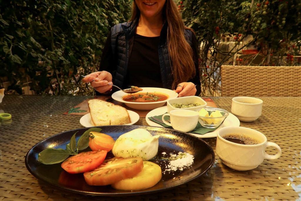 Friðheimar Tomato Farm Greenhouse in Iceland