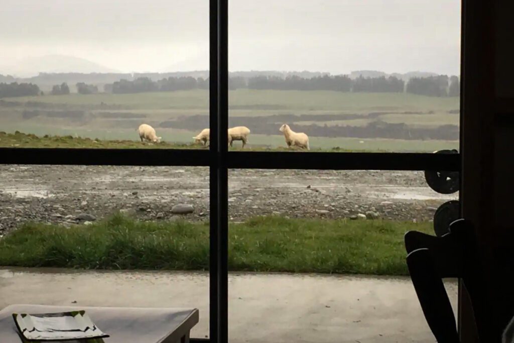 Farmstay near Te Anau (Airbnb)
