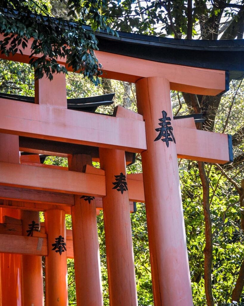 Fushimi Inari Kyoto Japan