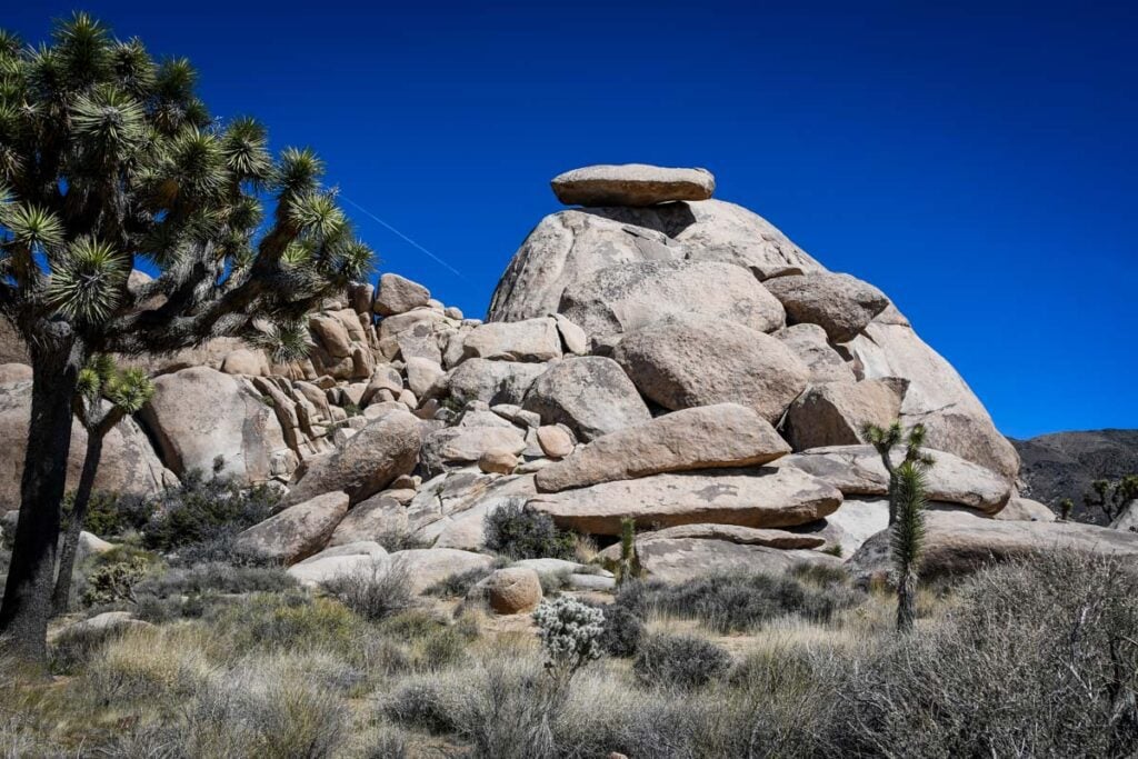 Cap Rock Joshua Tree National Park