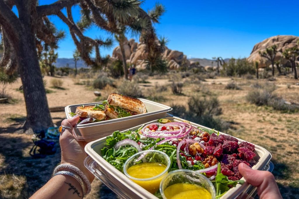 Picnic Joshua Tree National Park California