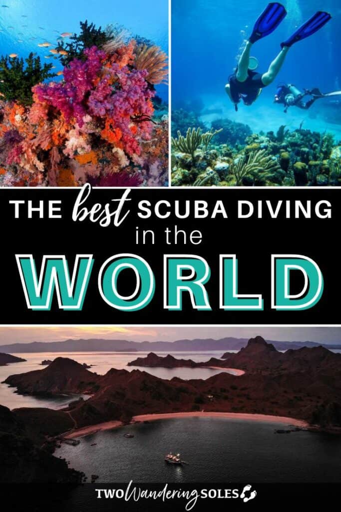Scuba diving Liveaboards | Two Wandering Soles