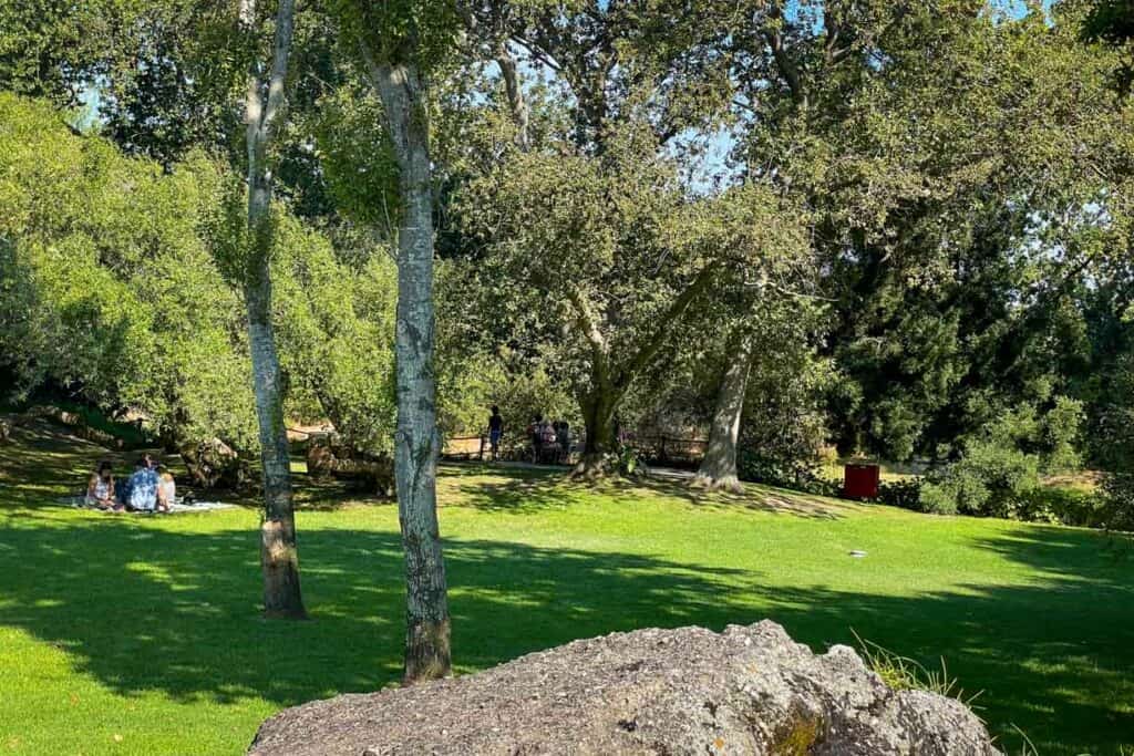 Spier Wine Farm