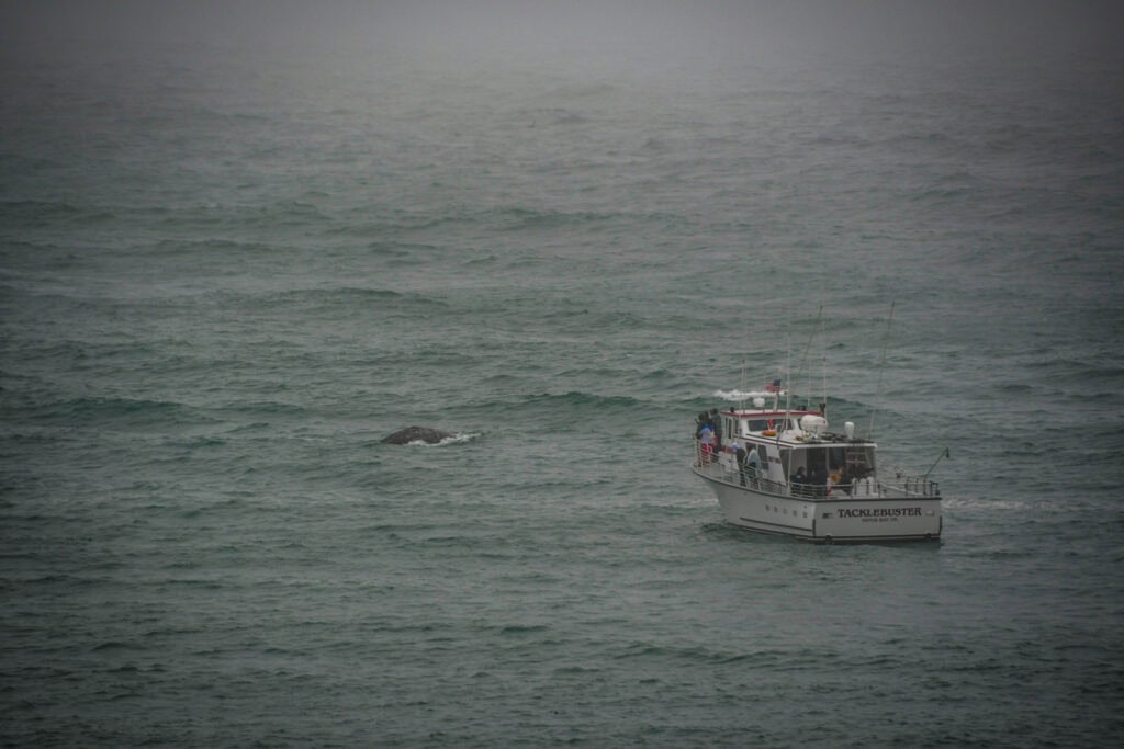 Depoe Bay Whale Watching Oregon Coast
