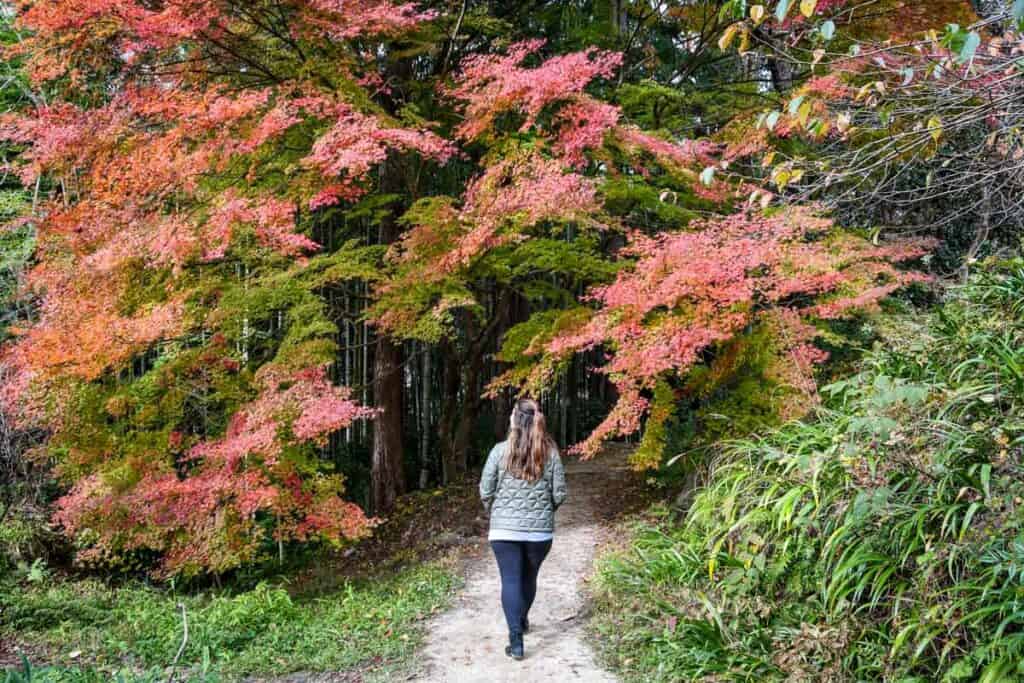 Nakasendo Trail Japan in autumn fall foliage