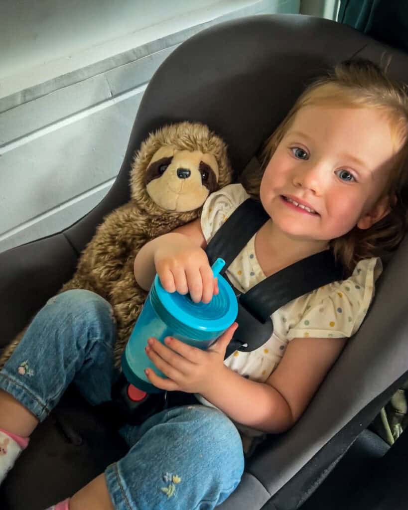 Toddler car seat