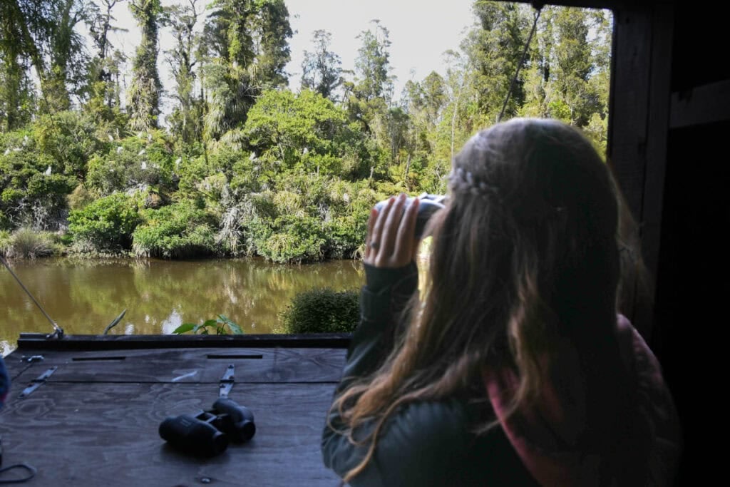 New Zealand bird watching sanctuary