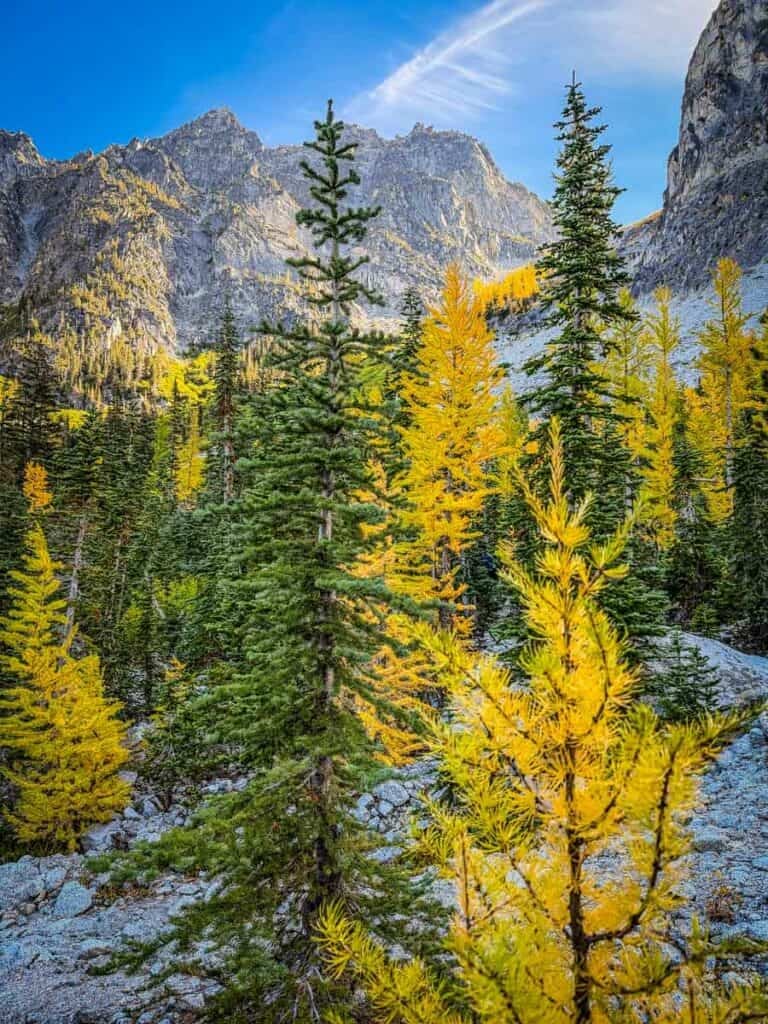 Aasgard Pass Enchantments larches Washington