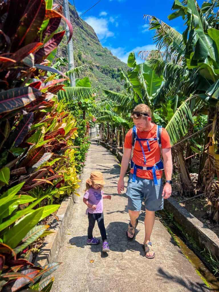 Banana Planation walk in Madalena do Mar, Madeira, Portugal
