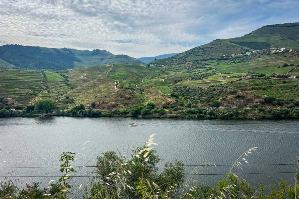 Douro Valley day trip Portugal