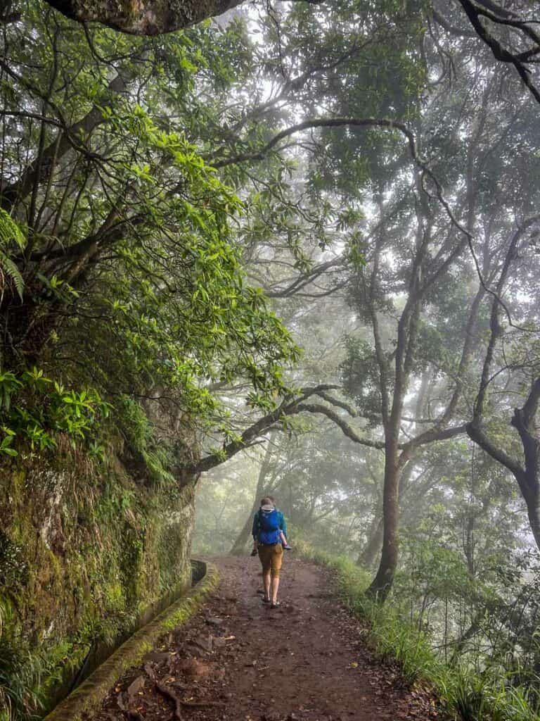 PR11 Levada dos Balcões trail in Madeira, Portugal