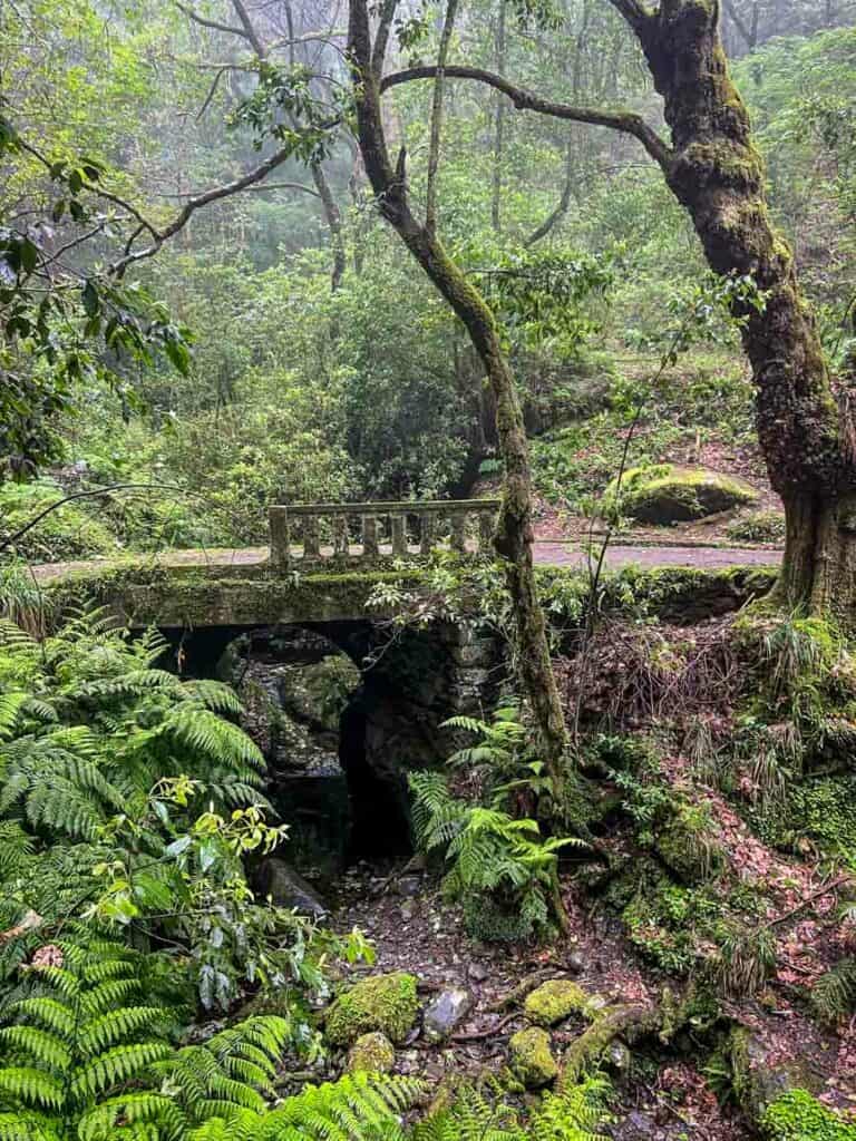 PR11 Levada dos Balcões trail in Madeira, Portugal