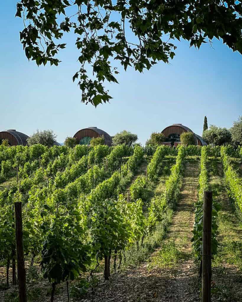 Quinta da Pacheca winery Douro Valley Portugal barrel cabins