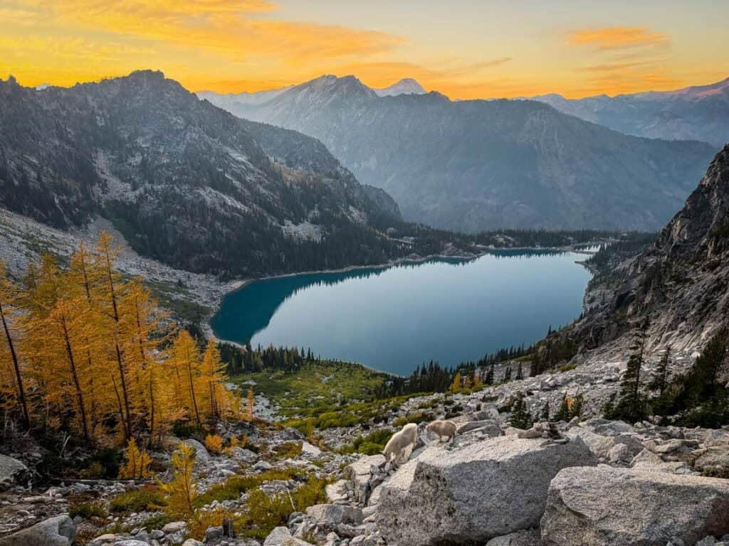 Aasgard Pass in the Enchantments during larch season in  Washington
