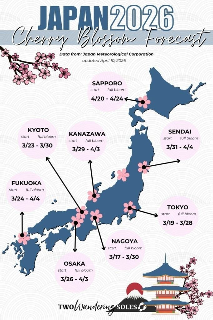 Japan Cherry Blossom Forecast 2026