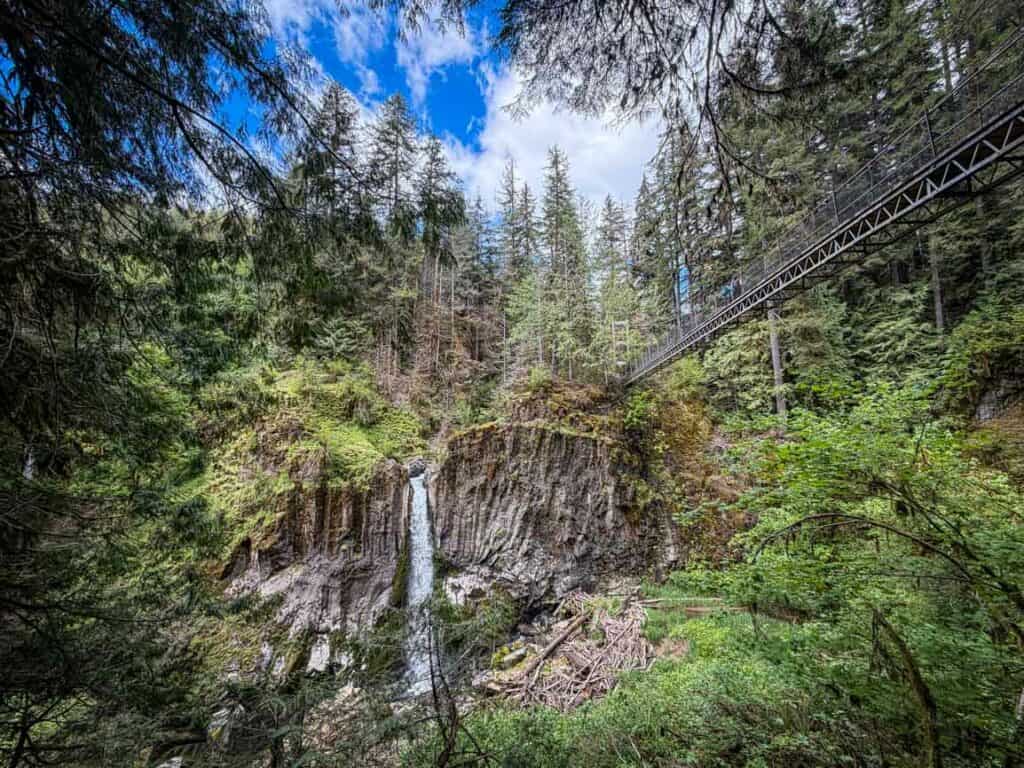 Drift Creek Falls hike Oregon Coast