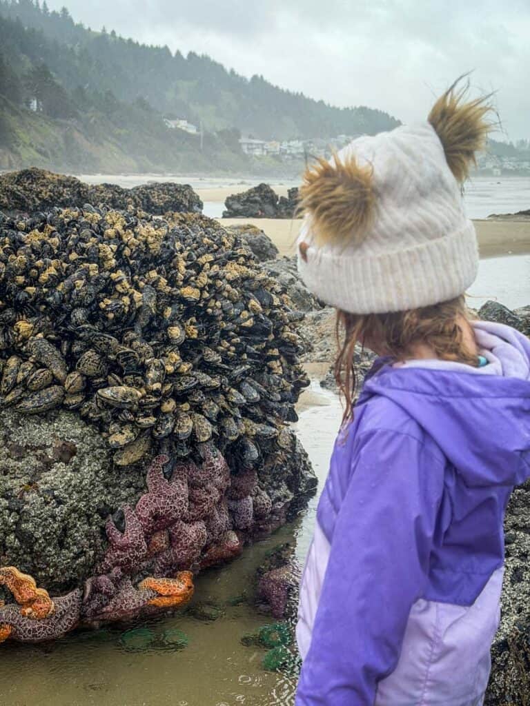 Roads End State Recreation Site Tide Pooling Lincoln City Oregon Coast