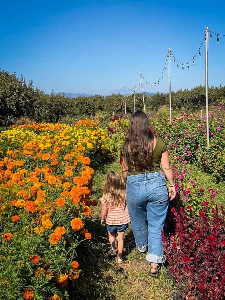 Flower farm in Hood River, Oregon