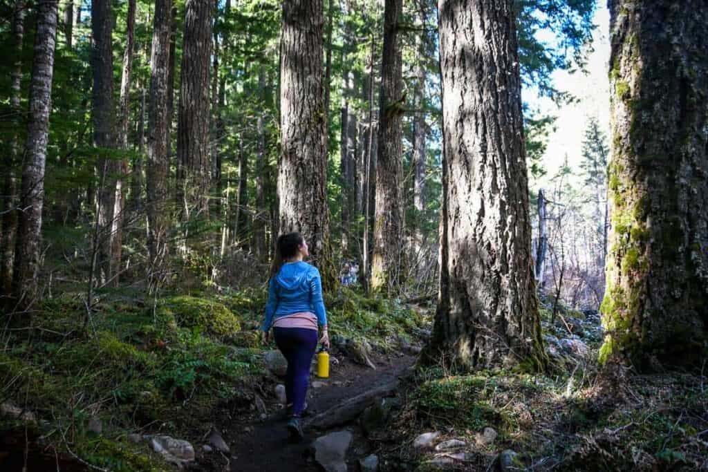 Hike to Tamolitch Blue Pool Oregon