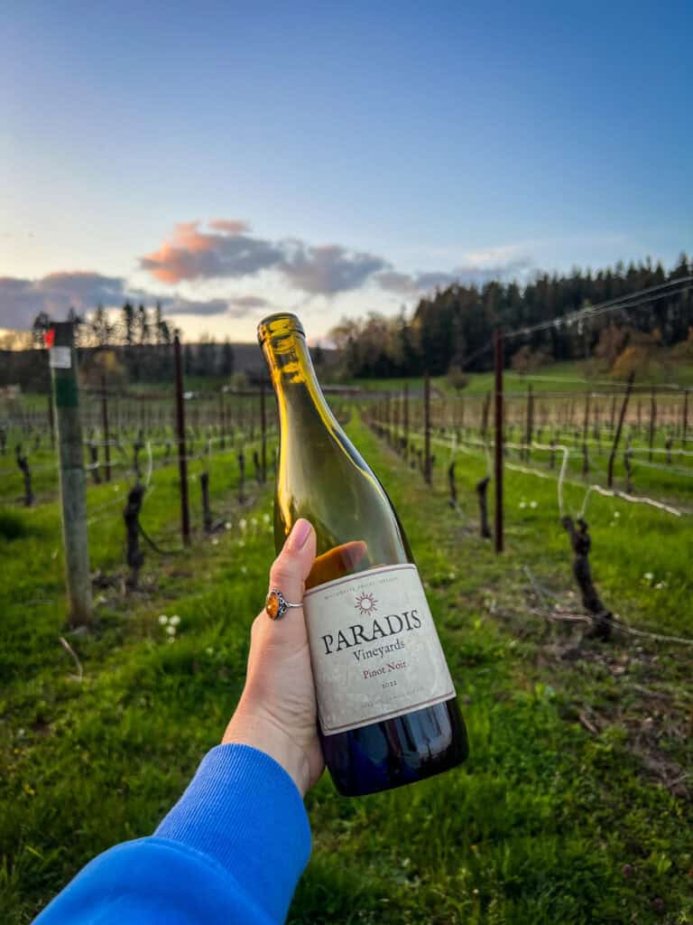 Paradis Vineyards Harvest Host Silverton Oregon