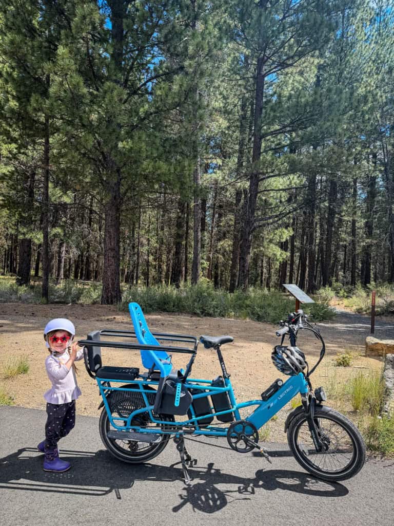 Lectric Xpedition2 Yepp Thule Child Bike Carrier